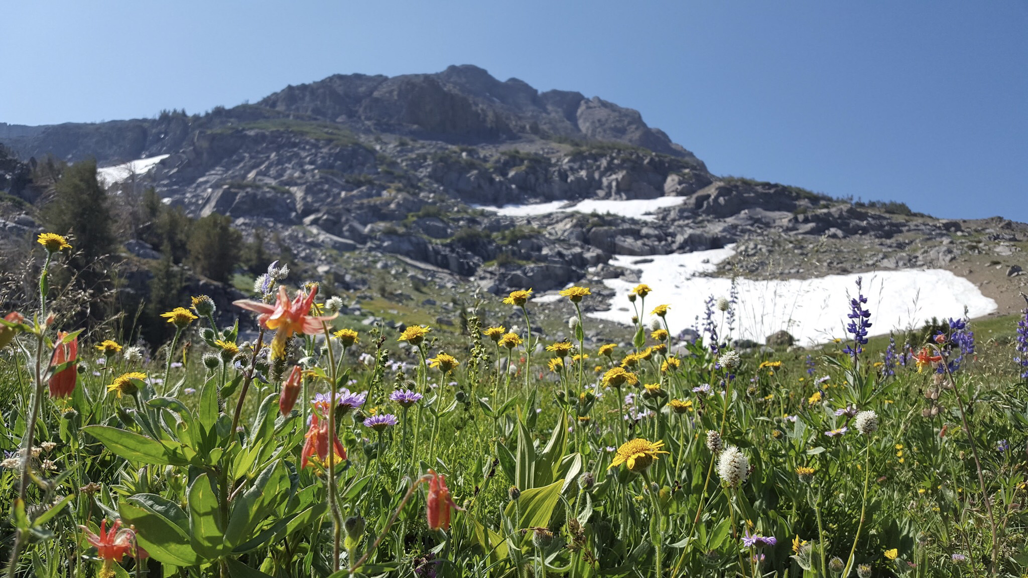 Backpacking Mokelumne Wilderness Loop (3D/2N) - Sunny With A Chance of ...